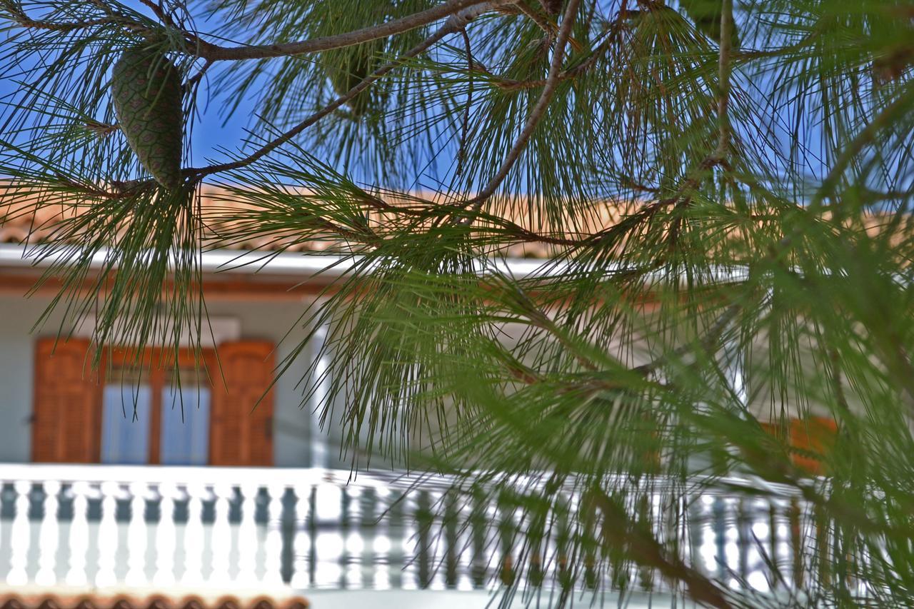 Pine Tree Apartment & Sunset By "Elite" Agios Nikolaos  Exterior foto