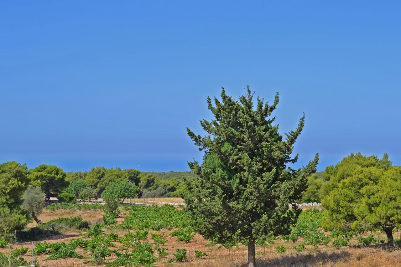 Pine Tree Apartment & Sunset By "Elite" Agios Nikolaos  Exterior foto