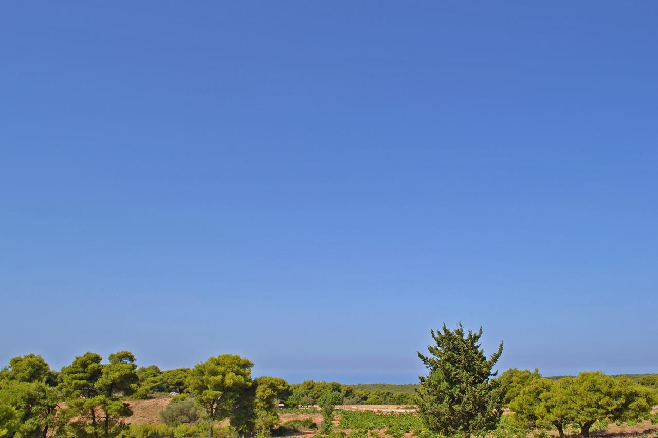 Pine Tree Apartment & Sunset By "Elite" Agios Nikolaos  Exterior foto